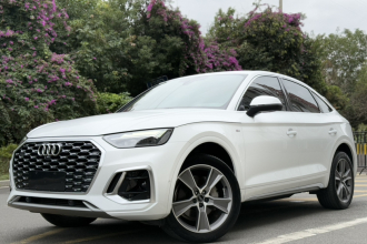 奥迪Q5L Sportback 2021款 40 TFSI 豪华型