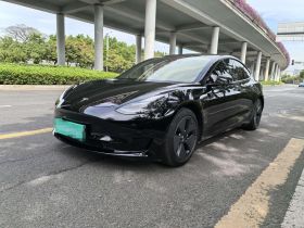 特斯拉 Model 3 2021款 标准续航后驱升级版