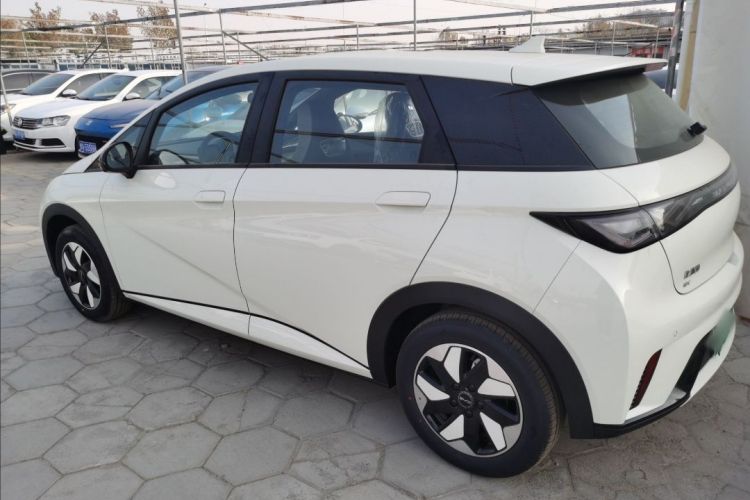 比亚迪 海豚 2025款 420km 自由版车身外观6002