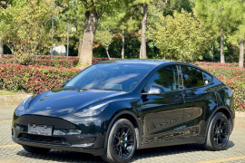 特斯拉 Model Y 2024款 后轮驱动版