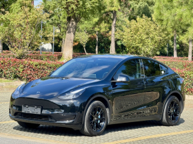 特斯拉 Model Y 2024款 后轮驱动版