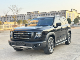 哈弗大狗 2022款 2.0T DCT四驱哮天犬版