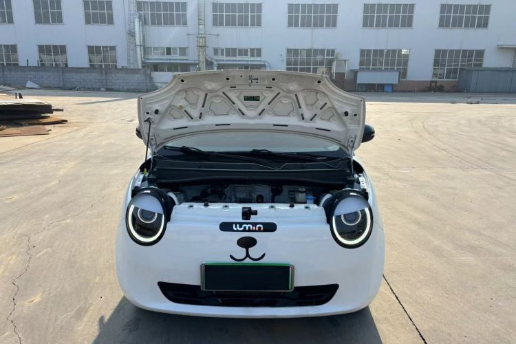 长安启源 长安Lumin 2022款 210km 香甜款局部细节24