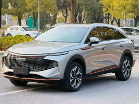 哈弗神兽 2022款 2.0T 智享版