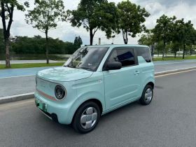 吉利银河 2023款 熊猫mini 200km 耐力熊
