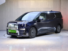 极氪009 2022款 WE版