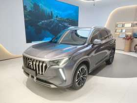 广汽传祺 传祺GS4 PLUS 2021款 390T 自动星云版