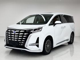 腾势D9 2022款 DM-i 1040 尊贵型