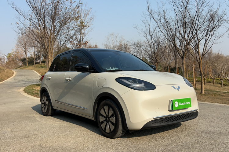 五菱汽车 五菱缤果 2023款 333km 悦享+款车身外观6002