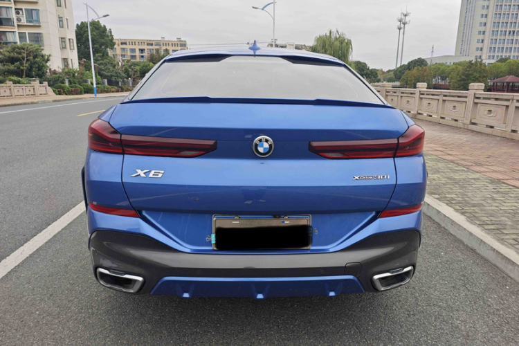 宝马X6 2020款 xDrive30i M运动套装车身外观6007
