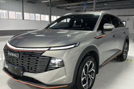 哈弗神兽 2022款 2.0T 智享版