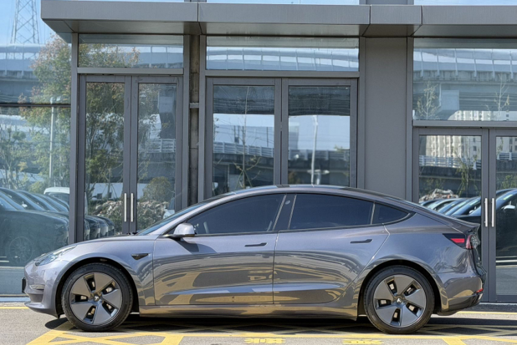 特斯拉 Model 3 2021款 标准续航后驱升级版车身外观6007