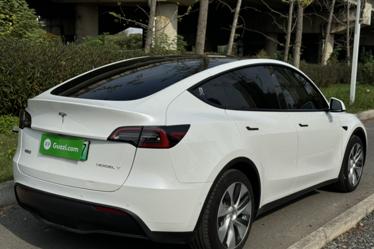 特斯拉 Model Y 2021款 标准续航后驱版车身外观6010