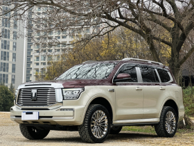 坦克500 2022款 3.0T 高端定制版 5座