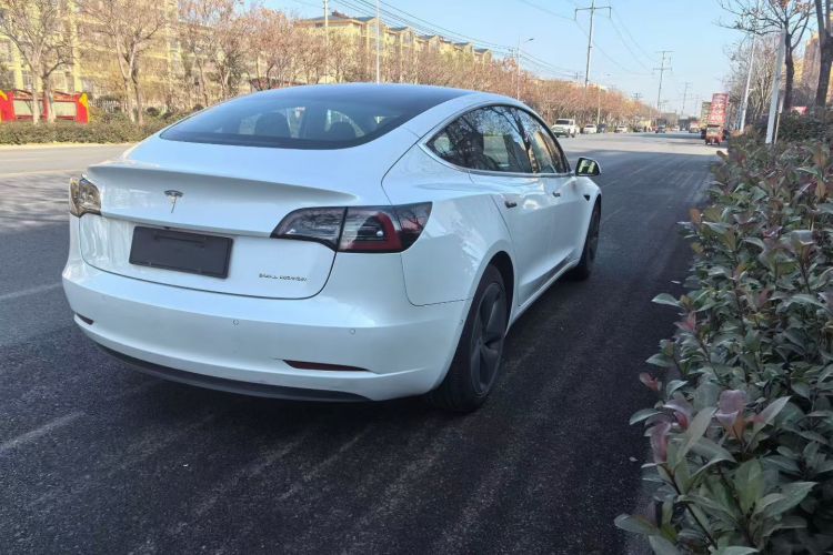 特斯拉 Model 3(进口) 2019款 长续航全轮驱动版车身外观6006