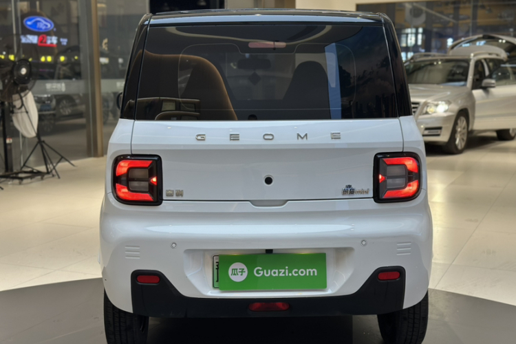 吉利银河 2024款 熊猫mini 200km 耐力熊车身外观6006