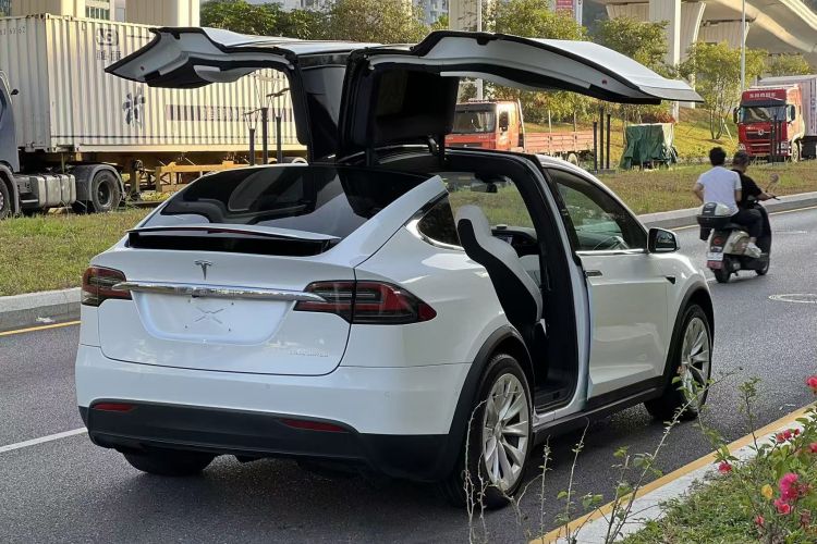 特斯拉 Model X 2019款 长续航版车身外观6007