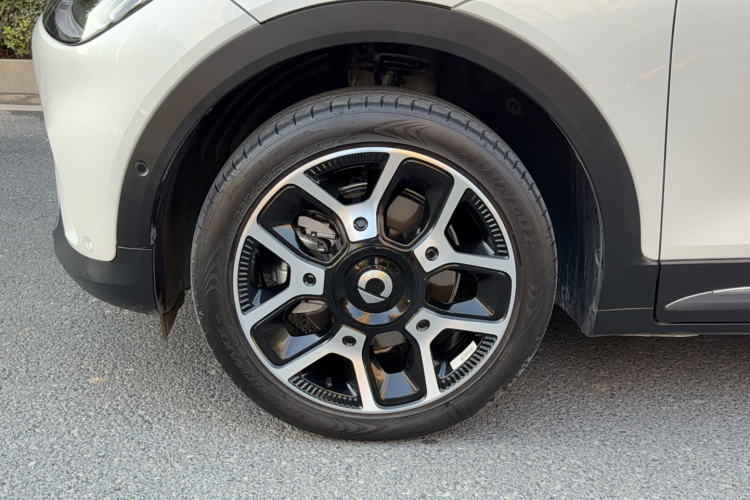 smart精灵#1 2022款 Pulse心动版车身外观6011