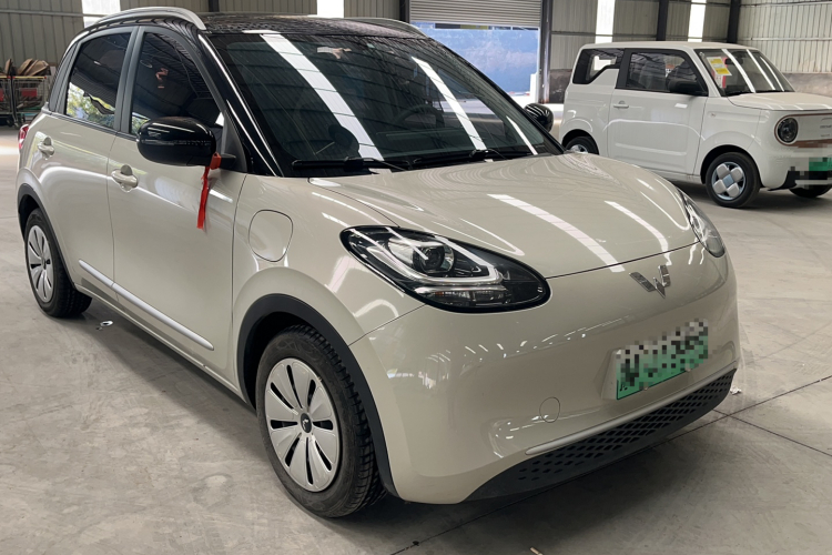 五菱汽车 五菱缤果 2023款 333km 快享款车身外观6003