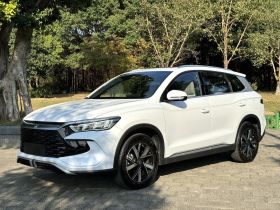 比亚迪 宋Pro新能源 2023款 冠军版 DM-i 110KM超越型