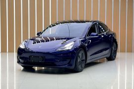 特斯拉 Model 3 2020款 改款 标准续航后驱升级版
