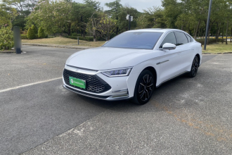 比亚迪 汉 2020款 DM 四驱性能版尊贵型