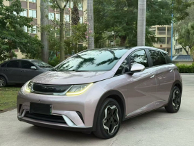 比亚迪 海豚 2021款 405km 时尚版