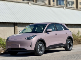 吉利银河 星愿 2026款 310km 梦想版