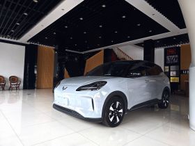 五菱汽车 五菱缤果PLUS 2024款 510km 旗舰版 四座版