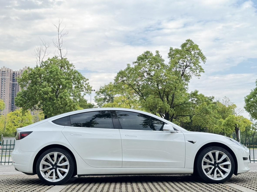 特斯拉 Model 3 2019款 标准续航后驱升级版
