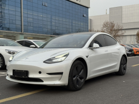 特斯拉 Model 3(进口) 2019款 长续航全轮驱动版