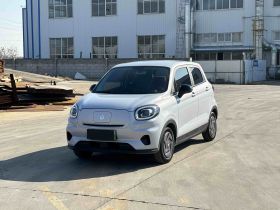 零跑汽车 零跑T03 2024款 200轻享版