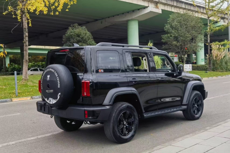 坦克300 2024款 2.0T 征服者车身外观6007