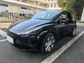 特斯拉 Model Y 2021款 标准续航后驱版