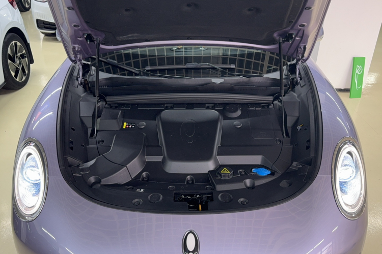 欧拉闪电猫 2022款 555km 尊贵版局部细节24