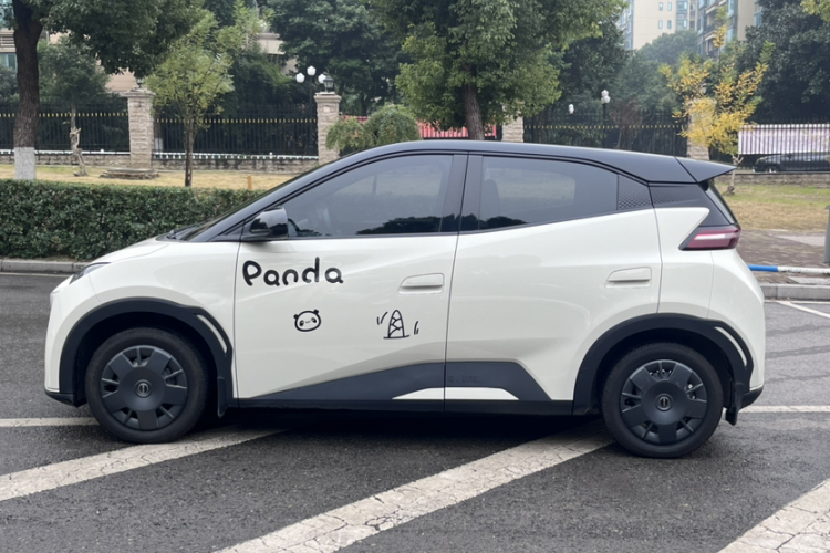 比亚迪 海鸥 2024款 荣耀版 305km 活力版车身外观6003