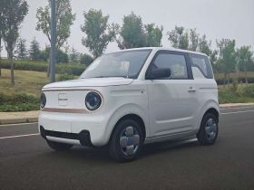 吉利银河 2024款 熊猫mini 200km 耐力熊