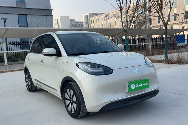 五菱汽车 五菱缤果 2023款 203km 舒享款车身外观6002