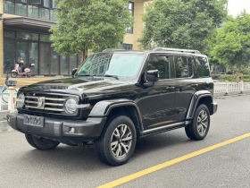 坦克300 2021款 城市版 2.0T 很有型