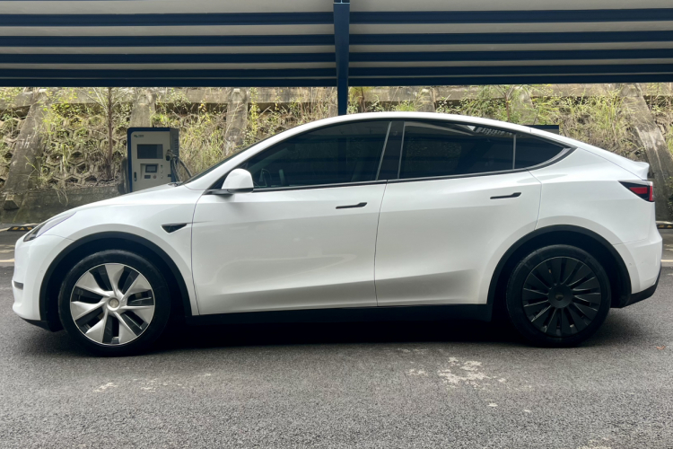 特斯拉 Model Y 2021款 长续航全轮驱动版车身外观6009