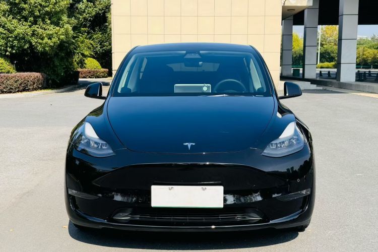 特斯拉 Model Y 2021款 Performance高性能全轮驱动版车身外观6006