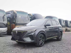 荣威RX5新能源 2021款 ePLUS 国潮荣麟豪华版