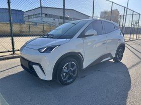 比亚迪 海鸥 2024款 荣耀版 305km 自由版