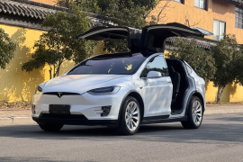 特斯拉 Model X 2020款 长续航升级版