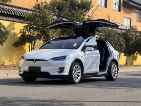 特斯拉 Model X 2020款 长续航升级版