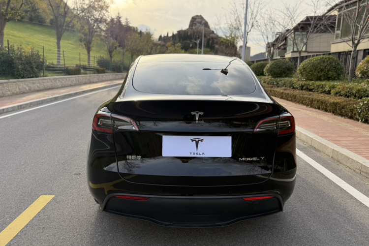 特斯拉 Model Y 2022款 后轮驱动版车身外观6005