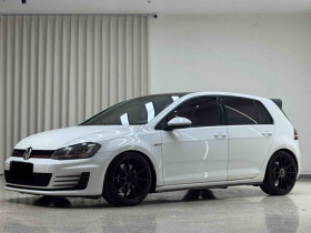 大众 高尔夫GTI 2016款 2.0TSI GTI