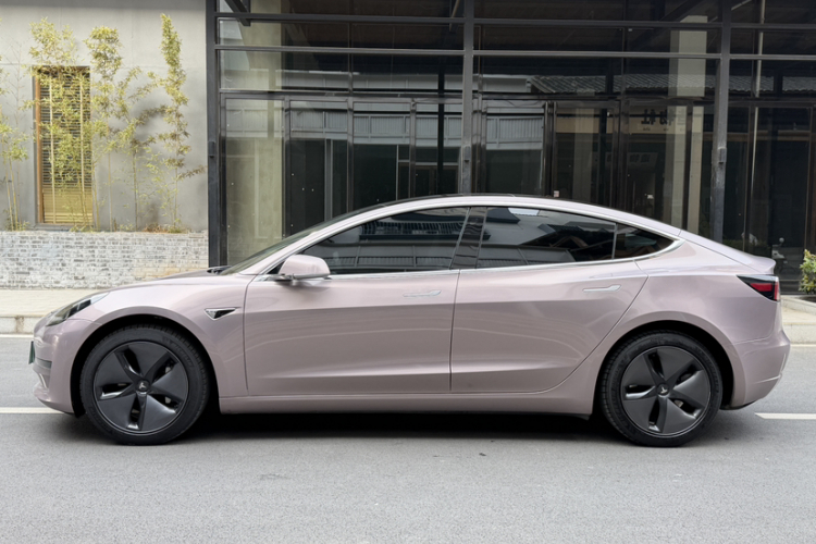 特斯拉 Model 3(进口) 2019款 长续航后驱版车身外观6009