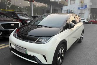 比亚迪 海豚 2024款 荣耀版 420km 时尚版