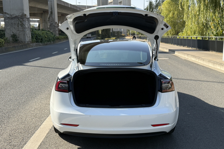 特斯拉 Model 3 2019款 标准续航后驱升级版中控内饰7004